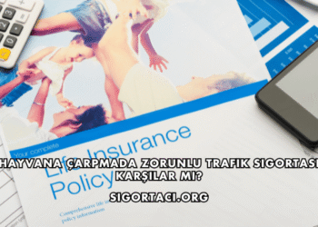 Hayvana Çarpmada Zorunlu Trafik Sigortası Karşılar mı?