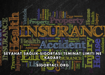 Seyahat Sağlık Sigortası Teminat Limiti Ne Kadar?