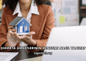 Sigorta Şirketlerinin Denetimi Nasıl Yapılır?