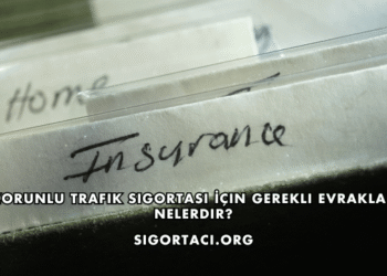 Zorunlu Trafik Sigortası İçin Gerekli Evraklar Nelerdir?